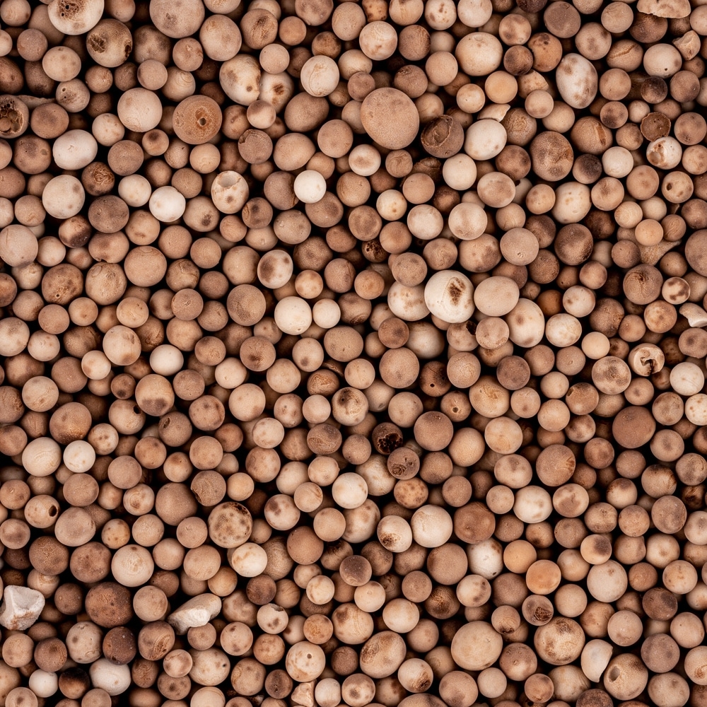 BASF 1212021